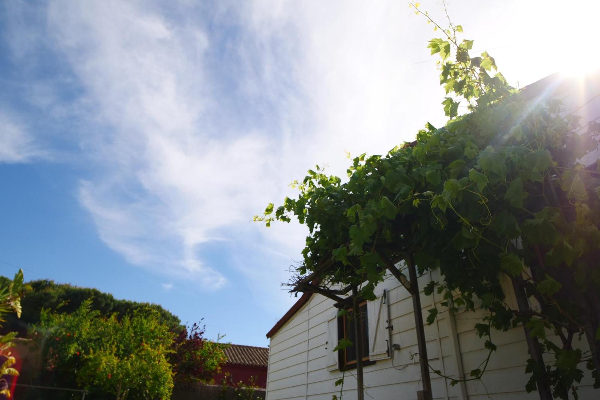 Ada Con Piscina, Jardin Y Parking Holiday home